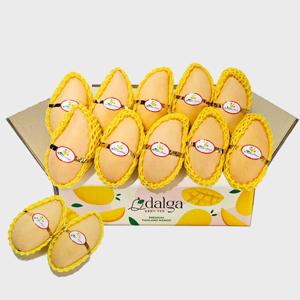 태국 남독마이 골드망고 5kg(10-16과)
