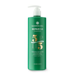 두피건강 두피강화 모발개선 모발강화 피지각질관리 두피진정 500ml 샴푸