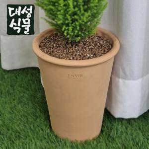 콘 토분 앙비까사 베트남 엔비까사 빈 화분