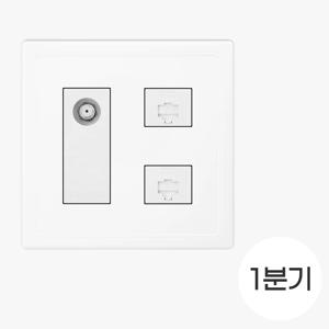전화 CATV 결합형 1분기+8P+8P 2개용 화이트 통신 모듈 케이블