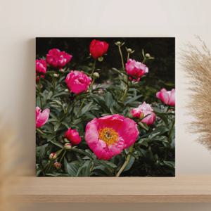 플라워 하우스 모란꽃, 해바라기 인테리어 액자 포스터 42종 / 42 Peony field