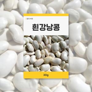 흰강낭콩 씨앗 30g 뿌리채소 씨앗 새싹 키우기
