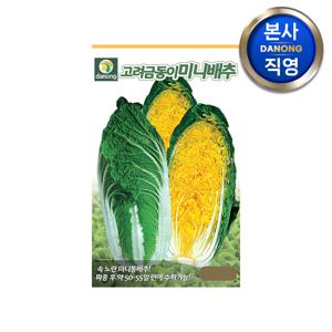 고려금동이 미니배추 씨앗 300립 . 야채 쌈 채소 김장 겉절이 텃밭 씨 종자