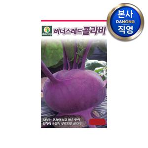 비너스 레드 콜라비 씨앗 500립 . 채소 텃밭 재배 주말 농장 파종 씨 종자