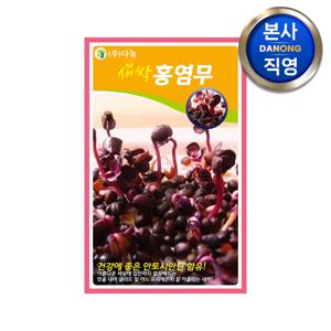 새싹 홍염무 씨앗 1kg . 무소독 무순 무싹 채소 수경 재배 씨 종자