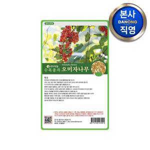 오미자 나무 씨앗 20g . 수목 식물 씨 종자