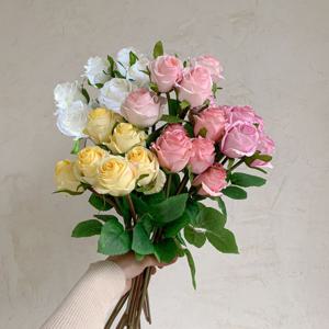 클라란스 한송이 장미 로즈 장미조화 5color