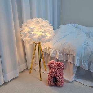 페더 1등 장/단스탠드 깃털스탠드 EOS