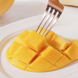 남독마이 태국 골드망고 5kg 14~16과