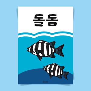 P90 돌돔 생선회 줄돔 포스터 인테리어 액자 식당 일식 술집 횟집 이자카야 초밥 사시미