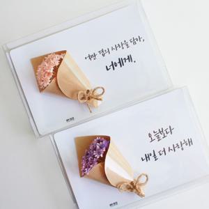 드라이플라워 프리저브드 스타플라워 가로형 엽서 카드 7colors