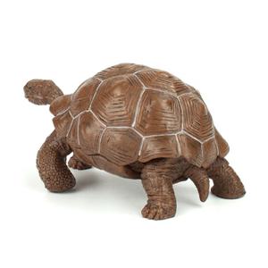갈라파고스거북 피규어 해양 바다 동물 모형 자연과학 교구 장난감 남자아이선물