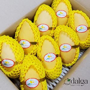 태국 남독마이 골드망고 2kg (4~7입)