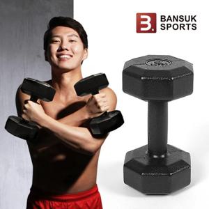 국산 K아령 20kg 8각아령