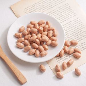 땅콩알 모형 약 50g