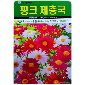 핑크 제충국씨앗 200립 꽃씨 천연 살충제 다년생