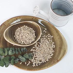 생 해바라기씨 미국산 1kg