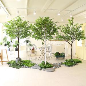 인테리어 대형 인조 목대 화분 소원나무 자작 조화나무 2type