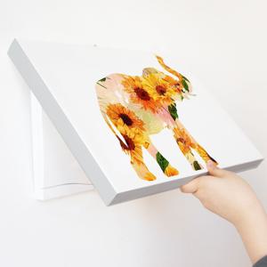 두꺼비집 해바라기 코끼리