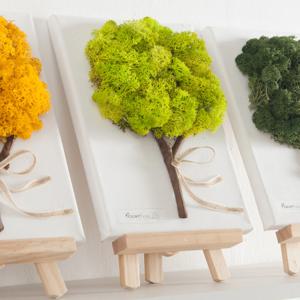 스칸디아모스 공기정화식물 액자 이젤 조명 전구트리 세트 29cm 5컬러