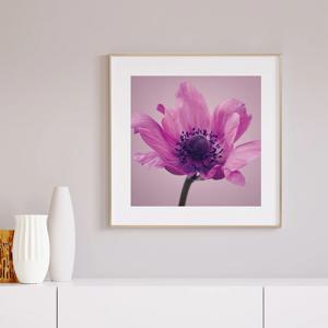 플랜테리어 꽃/식물 인테리어 액자 - 바이올렛 플라워