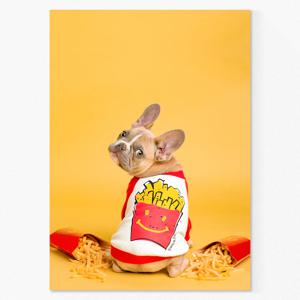 강아지 사진 인테리어 포스터 / 캔버스 액자 _프라이 프렌치불독