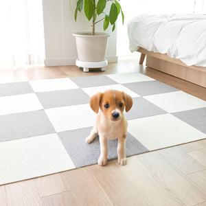 강아지 고양이 미끄럼방지매트 10P 4colors