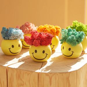 스칸디아모스 웃어요 스마일 모스화분 - 6 color