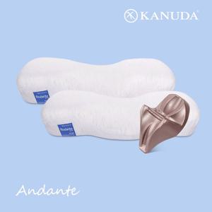 블루라벨 안단테 면모달 더블세트 (베개2+머리냅1)기능성 베개
