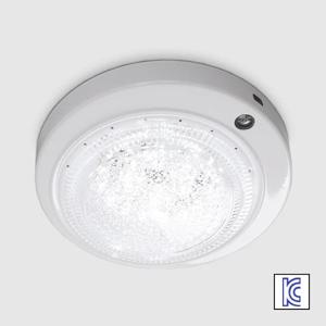 LED 비상 센서등 12W 도트 현관조명