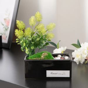 비안 천일홍 조화 우유 화분Aset 15cm 2color 인테리어 테이블 장식