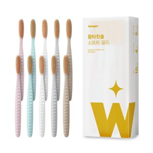 왕타 소프트 골드 10P