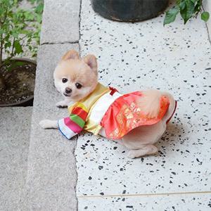 해질녘 한복
