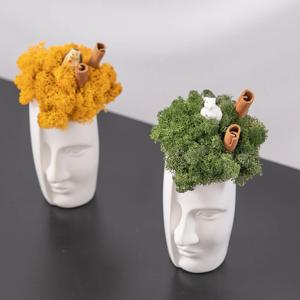 스칸디아모스 공기정화식물 화병 시나몬 set 20cm 2컬러 인테리어