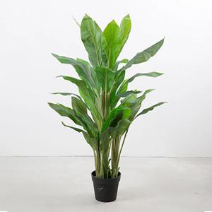 킹 스파티필름 인조나무 128CM