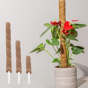 식물 지지대 지주대 원예 수태봉 40cm/60cm/100cm GD-11066