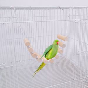 앵무새 새장 흔들 구름 사다리