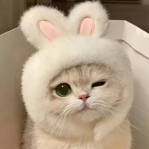TEMU 1pc 토끼 귀 고양이 모자, 부활절 테마 애완동물 의상, 니트 원단 세트, 고양이 및 소형견을 위한 편안한 폴리에스터 풀오버 모자, 기계 세척 가능, 롤플레잉 및 사진 촬영에 이상적