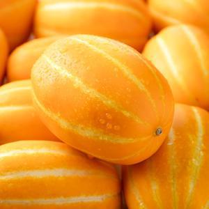 산지직송! 당도선별! 가정용 성주 꿀 참외 1kg~5kg 혼합과/소과/중소과/중과/중대과 못난이 흠과