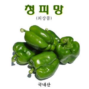 꼬레촌피망 (청피망)최상품(100g~130g) 5kg