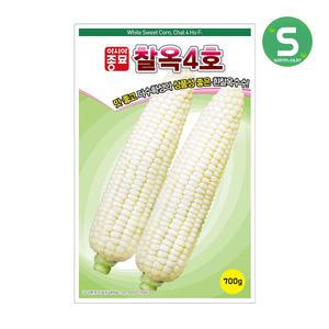 흰찰옥수수씨앗 700g 옥수수씨앗 찰옥4호 중만생종