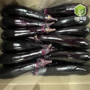 가지 상 5kg
