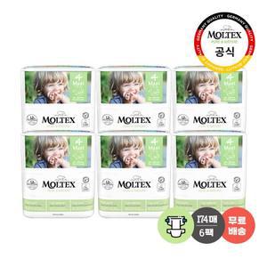 몰텍스 밴드형 4단계 (29매X6팩)  / 독일 친환경 어글리 기저귀