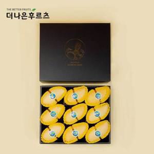 [더나은후르츠]백화점 식품관 직수입 태국망고 9입 선물세트 3.1kg 내외