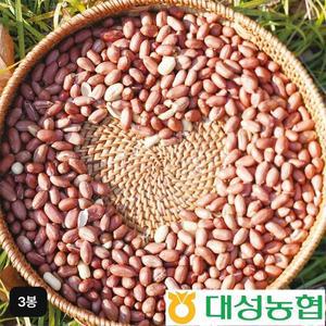 [농협]24년 대성농협 국산 고소한 볶음알땅콩 300gX3봉[34916132]