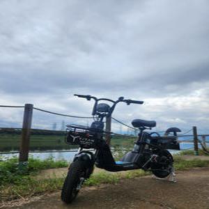 전동 전기 스쿠터  타이탄 500 48V 10Ah