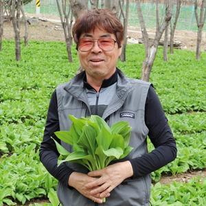 [자연진리]강원도 홍천 고랭지 산마늘(명이나물) 대명이 2kg