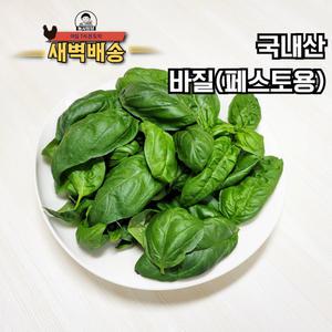 새벽배달 국내산 허브 바질 페스토용 1kg