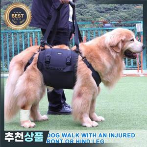 오래된 개를 위한 슬링 캐리어 애완 동물 지원  재활 위아래 계단 관절염을 리프트 하네스