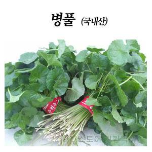 병풀 호랑이풀 생병풀 건조 모종 국내산 호랑이풀 센텔라아시아티카 마데카식산